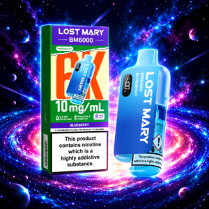 Buy Lost Mary